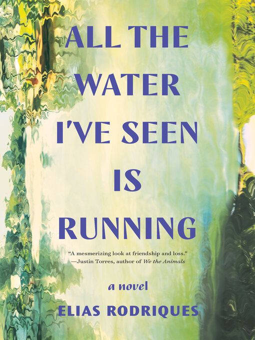 Title details for All the Water I've Seen Is Running by Elias Rodriques - Available
